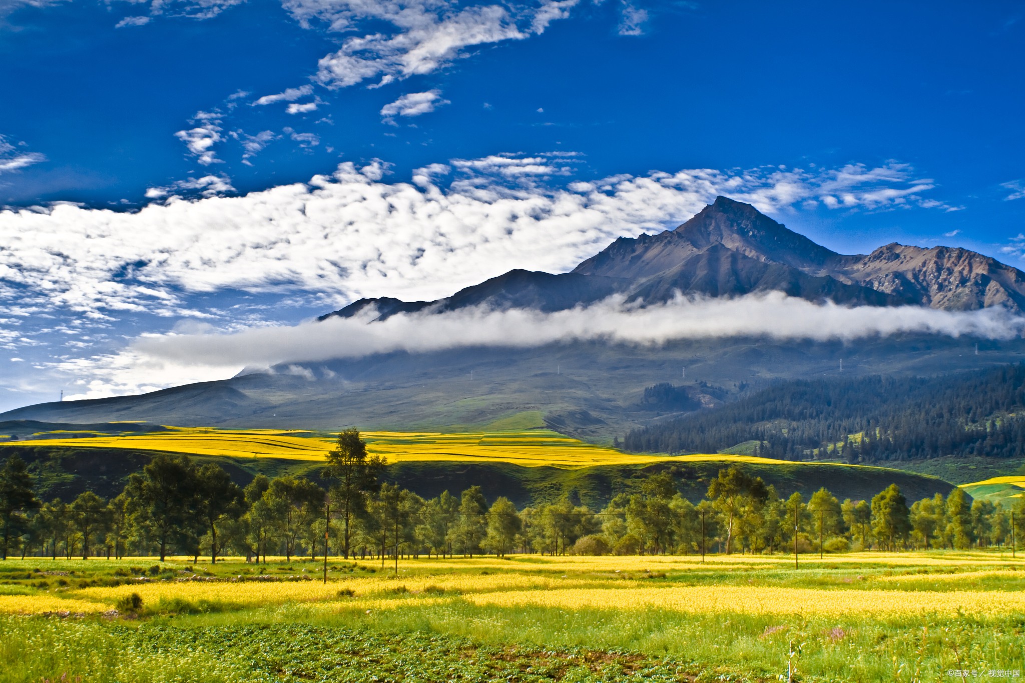 兰州到青海湖一日游80快钱旅行团